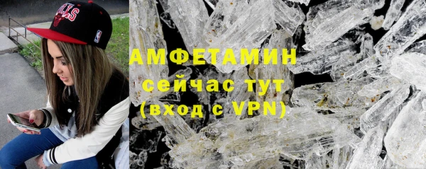 прущие грибы Верея