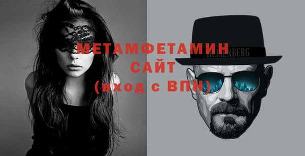 прущие грибы Верея