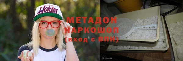 прущие грибы Верея
