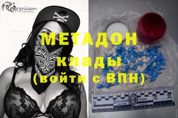 прущие грибы Верея