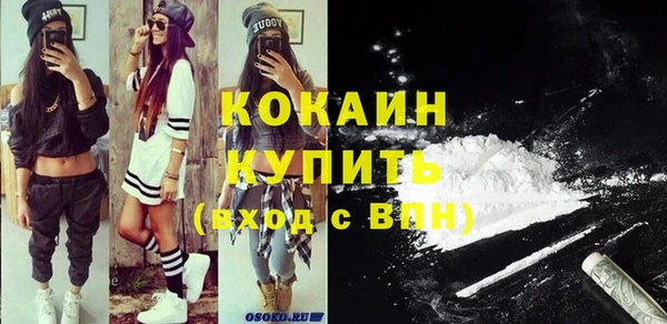 прущие грибы Верея