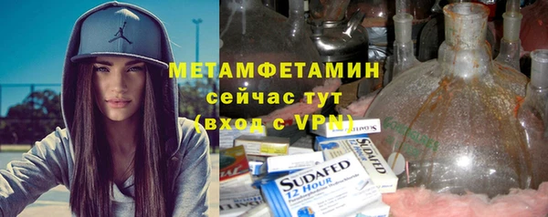 прущие грибы Верея