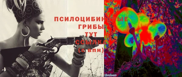 прущие грибы Верея