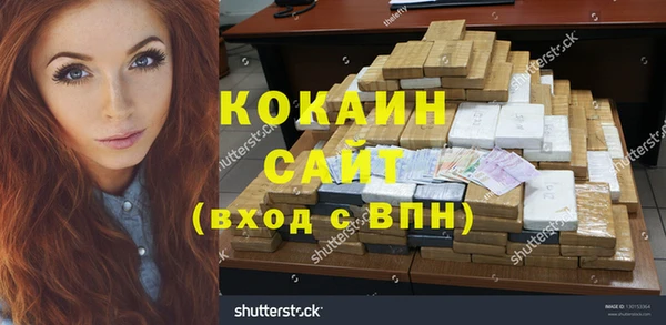 прущие грибы Верея
