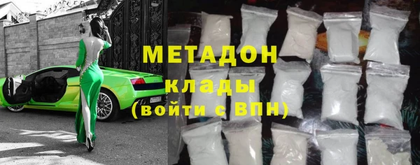 прущие грибы Верея