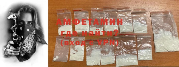 прущие грибы Верея