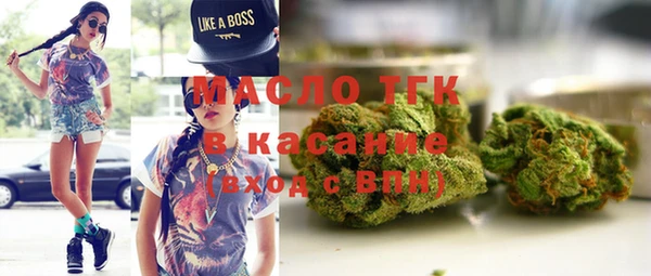 прущие грибы Верея