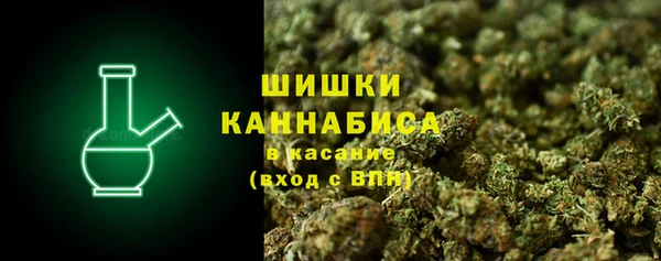 прущие грибы Верея