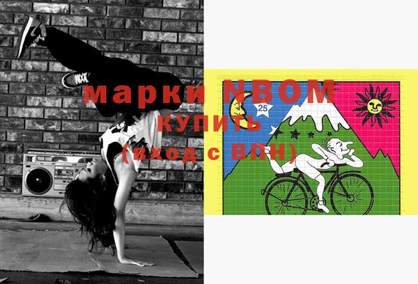 прущие грибы Верея