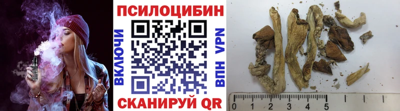 OMG   где купить наркоту  Йошкар-Ола  Псилоцибиновые грибы ЛСД 